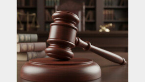 인도 일가족 13명 ‘무기징역’‘…토지 분쟁 끝에 형제 2명 살해 혐의