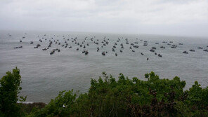 서해 NLL ‘단속 무풍지대’…中 ‘쌍끌이’에 씨마르는 연평 꽃게 황금어장
