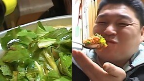 “강호동 먹방이 유죄”…금값 ‘봄동’ 잘 고르는 법 [알쓸톡]