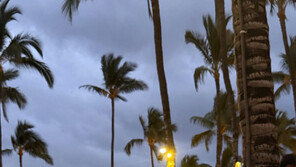 김주희, 45세에도 명품 비키니 몸매…미코 진 다운 자기관리