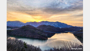 ‘자연환경 생태계’ 맥박을 더하다… 현대모비스, 진천 생태숲 성공적 복원