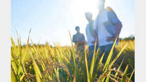 “농촌살이 해보니 어때요?”…10가구 중 7가구 “만족”