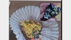 ‘두쫀쿠’서 식중독균 검출 등 위생불량 업체 81곳 적발