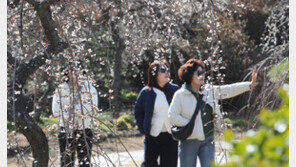 내일 낮 최고 15도 포근…아침 최저 영하 4도 ‘일교차’ 유의