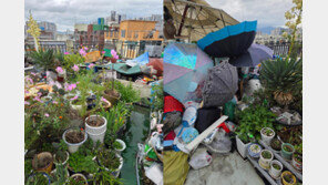 빌라 옥상이 개인 창고?…잡동사니 산더미 “환장할 노릇” [e글e글]