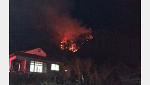 [속보]F-16C 전투기 영주 야산에 추락…조종사 1명 비상탈출