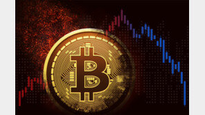 [단독]‘압수물 지침’ 안지킨 강남경찰서, 비트코인 20억 탈취 4년간 몰라