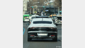 [고양이 눈]흑백의 질주