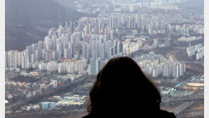 강남3구 아파트값 하락 전환…1년11개월 만