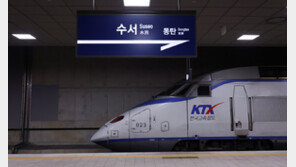 수서역 KTX 교차운행 시작…‘외곽 강남’ 수서 집값 꿈틀