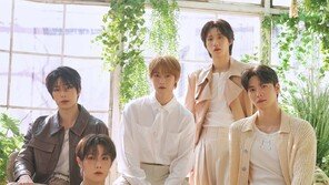 어센트 컴백, 정체성 확립 ‘스틸 로즈’