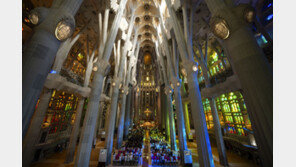 4월부터 바르셀로나 관광세 ‘두 배’…호텔 1박에 세금만 11~15유로