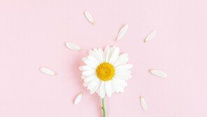 [HBR인사이트]“당신만이 할 수 있다”… 성과를 만드는 확언의 힘