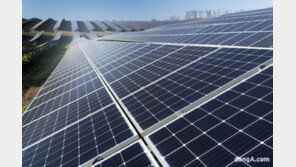 OCI홀딩스, 美 텍사스 260MW 태양광 프로젝트 순항… 6000억 규모 금융 조달