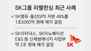 [단독]SK그룹, 고강도 리밸런싱… ‘알짜자산’ 송유관公 지분 매각 추진