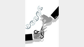 ‘니코틴 중독’ 막는 유전자 변이 발견… 새로운 금연 보조제 온다