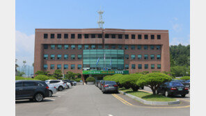 횡단보도 건너던 노인 치어 숨지게 한 40대 입건