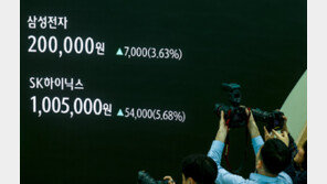 “진격의 동학개미”…외인 던진 삼전·SK하닉 싹쓸이