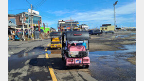 대여용 전동카트·전동킥보드, 제주 우도에선 못 달린다