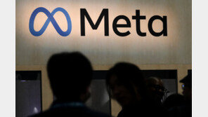 “메타, 구글과 AI칩 계약…자체 개발론 오픈AI 못 이겨”