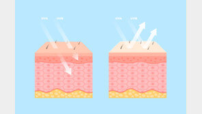 “콜라겐, 피부 탄력 개선 효과 있다…단, 주름은 못 막아”[건강팩트체크]