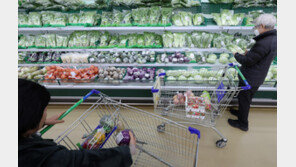 구글 고정밀 지도 조건부 허가 속 ‘비관세장벽’ 완화 압박 우려