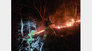 춘천 드름산 불 1시간 46분 만에 진화…원인 조사 중