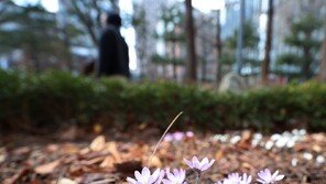 낮 최고 17도까지 올라 ‘포근’…동해안 비소식