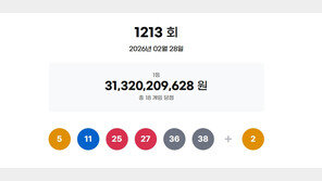 1213회 로또 1등 각 17억4001만원씩…자동15명·수동3명