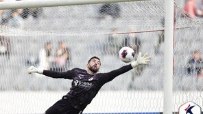 K리그에 27년 만에 외국인 골키퍼 떴다…포르투갈 골키퍼 출전