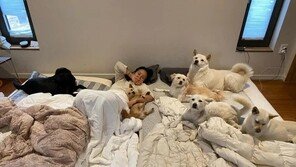 이효리, 반려견들과의 일상공개에 온라인 갑론을박