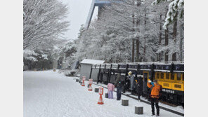 태백지역엔 대설경보