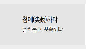 [신문과 놀자!/미션 나의 문해력]첨예(尖銳)하다