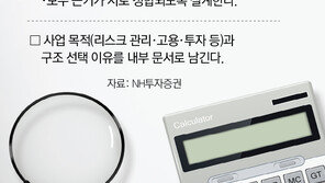 [머니 컨설팅]연예인 가족회사 논란으로 본 ‘실질과세원칙’