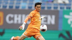 안양 수문장 ‘좀비 선방쇼’… 패배 막아냈다