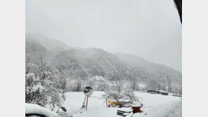 향로봉 60.4cm 폭설…강원 산지 25cm 더 온다