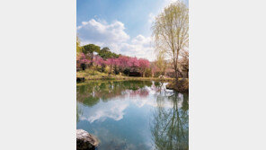 사유원 3월 한 달간 ‘매화 축제’ 개최