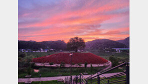 ‘왕사남’ 특수에 웃는 영월…인파 몰린 청룡포 매표 조기 마감