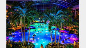 ‘테르메 인천 프로젝트’…열대 수목원 리조트 송도에 문연다