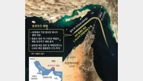 이란 “호르무즈 통과 선박 다 불태울것”… 기뢰-드론 공격 가능성