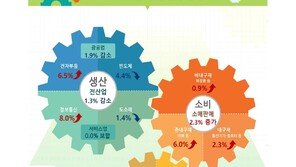 “반도체값 올랐지만 물량 조정”…1월 생산 1.3%↓, 3개월 만에 하락