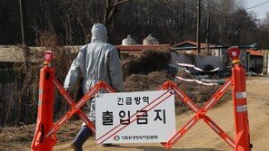 경기 연천 ASF 발생…5일 오전 2시 30분까지 일시이동중지 명령