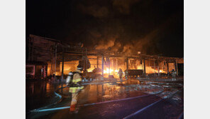 휴대전화 필름 공장서 불, 3명 연기흡입…9.9억 재산피해