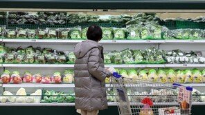 최대 70% 싸게…대형마트, 봄맞이 대규모 할인 행사