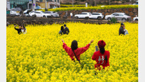 계엄-탄핵에도 삶의 만족도 최고치…계층이동은 10년래 최저