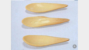 이 숟가락, 먹을 수 있다고?…日서 개발한 이 제품 뭐길래