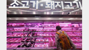 소·돼지·닭고기 등 축산물 가격 두자릿수 ‘껑충’ …서민 ‘밥상 물가’ 비상