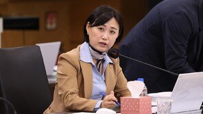 與 “중수청·공소청법, 정부안 대폭 변경 어려워”…강경파는 반발