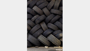 [고양이 눈]차곡차곡