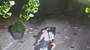 강남역 일대서 ‘셔츠룸’ 불법전단지 대량살포한 총책 구속
